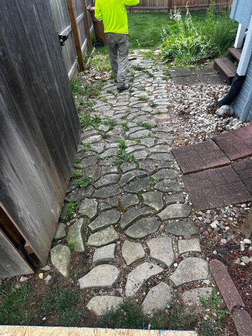 Concrete step construction
